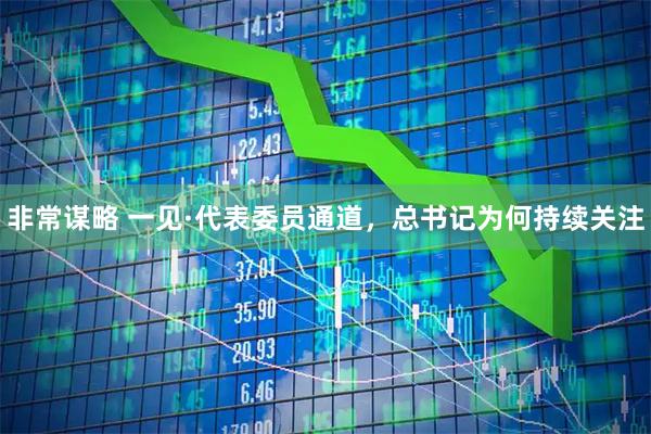 非常谋略 一见·代表委员通道，总书记为何持续关注