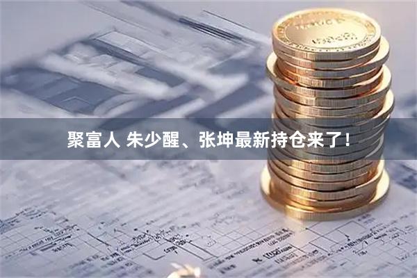 聚富人 朱少醒、张坤最新持仓来了！
