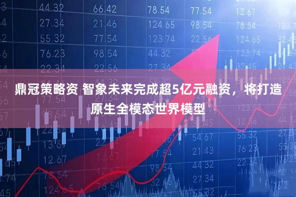 鼎冠策略资 智象未来完成超5亿元融资，将打造原生全模态世界模型